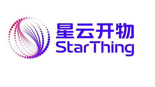 廣東星云開物科技股份有限公司 以創(chuàng)新技術(shù)服務(wù)驅(qū)動(dòng)數(shù)字化轉(zhuǎn)型